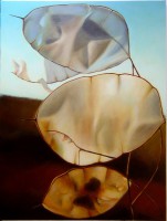 /album/berenklauw-en-judaspenning/schilderijen-2006-031-jpg/